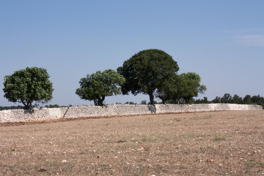 Trulli Sarmenzanello Apartment Noci Room photo